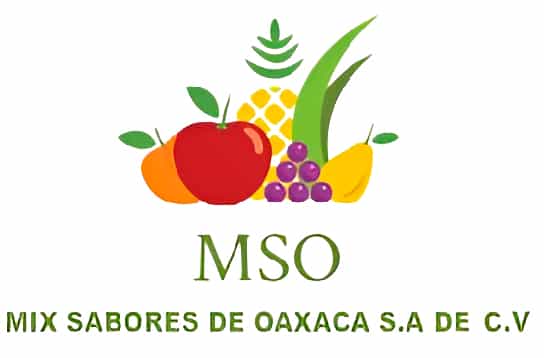 Empresa13